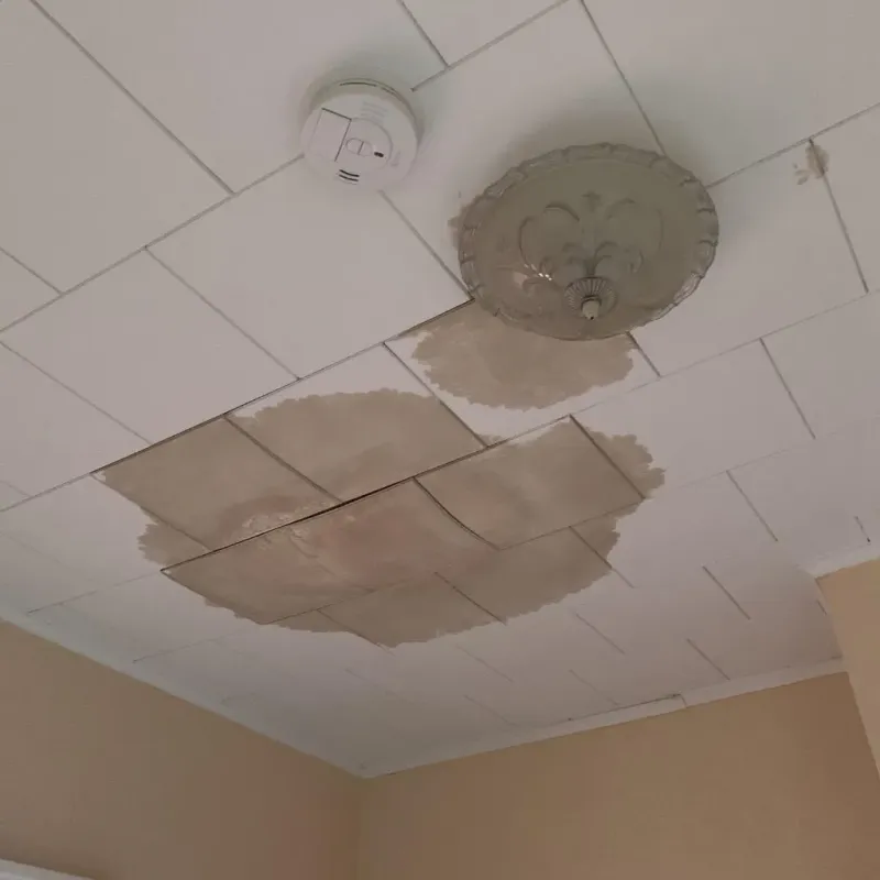 Ceiling Water Damage Repair in Washington, PA