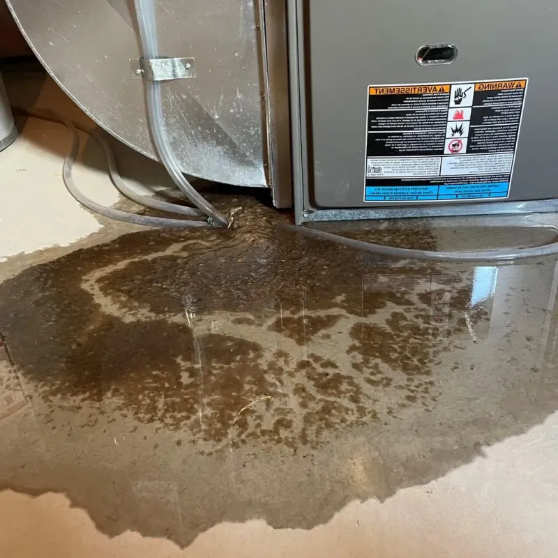Pipe Burst and Leak Restoration in Washington, PA